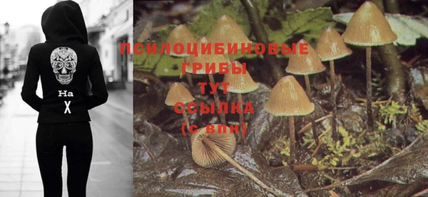 прущий лед Медвежьегорск