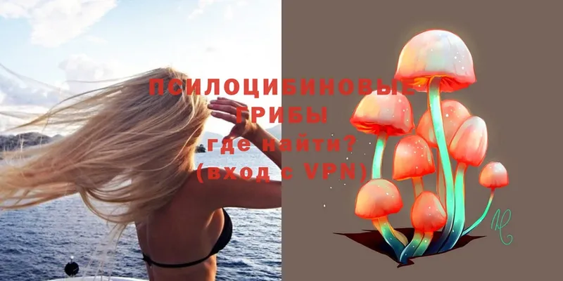 mega вход  купить   Борзя  Псилоцибиновые грибы Psilocybe 