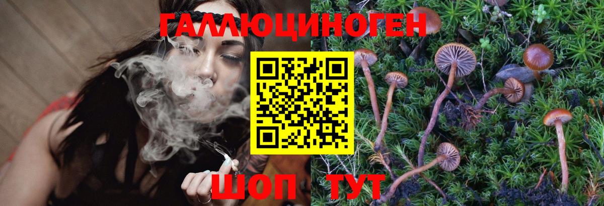 купить закладку  Вход с VPN  Борзя  Псилоцибиновые грибы Magic Shrooms  Галлюциногенные грибы MAGIC MUSHROOMS 