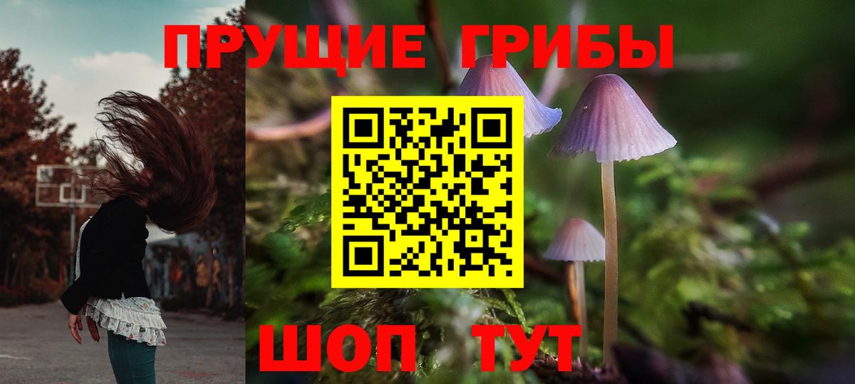 Псилоцибиновые грибы Psilocybine cubensis Борзя