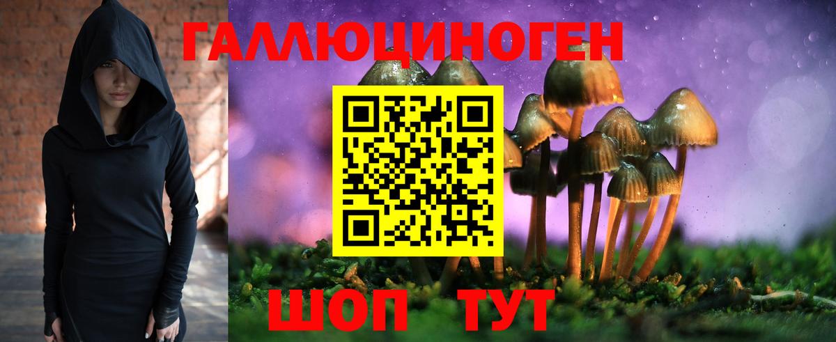 Псилоцибиновые грибы MAGIC MUSHROOMS Борзя