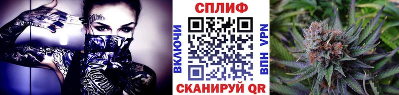 где продают наркотики  Борзя  МАРИХУАНА семена 
