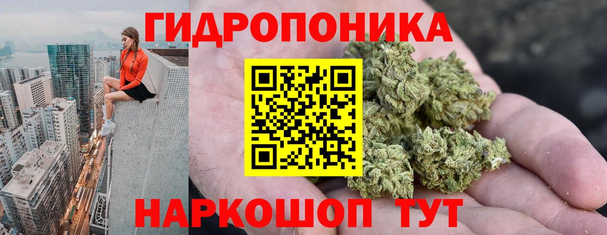 МАРИХУАНА конопля Борзя